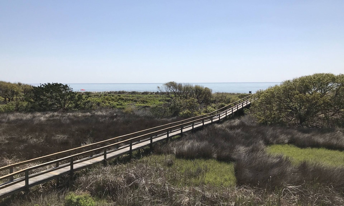 Folly Field Condo | Direct Ocean Front View Condo!A225. Also see HA#9437951🏖next door!HHI STR#072304