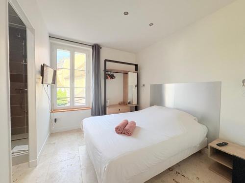 Pont-sur-Yonne Apartment | Le Cocon de l Écu