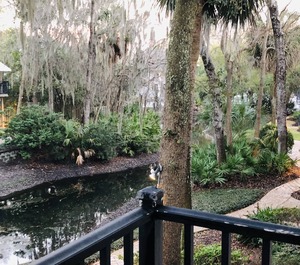 Springwood Villas Hilton Head 