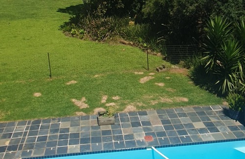 Howick House | African Gem