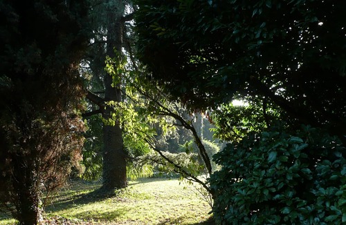Mogliano Veneto Apartment | CA '3 ARCHI Classic Suite: Lovely for relaxing 20 minutes away from Venice!