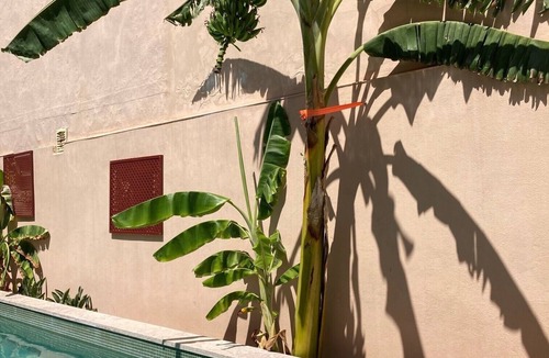Belem Villa | Junqueira Gardens - large restored old house with garden and private pool