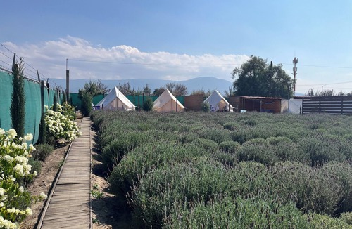 Texcoco de Mora RV Rental | Magical night at Glamping Rincón de Lavanda