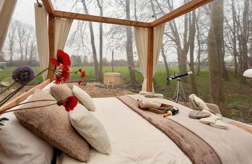 Zuidoostbeemster Cabin | Skyview Bubbletent – Nature, luxury & stargazing just 20 min from Amsterdam