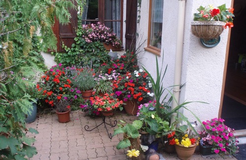 Chigne House | Spacious converted Barn - fully equiped - family friendly Gite sleeps 6 (Rose)