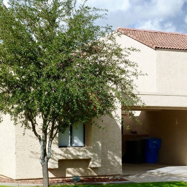 SUMMER SPECIALS: Over the Moon in this comfy Moon Valley Condo ! Pool & Spa