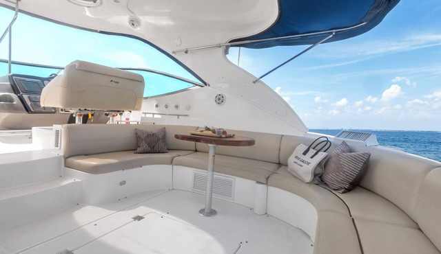 52' Cruisers Express Yacht in the heart of downtown Tampa!