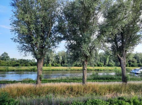 B&B Scheldekant