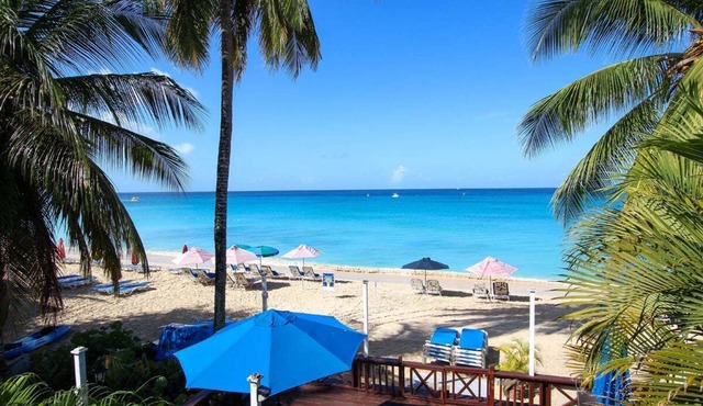 Beachfront apt on stunning paynes bay - Bora Upper