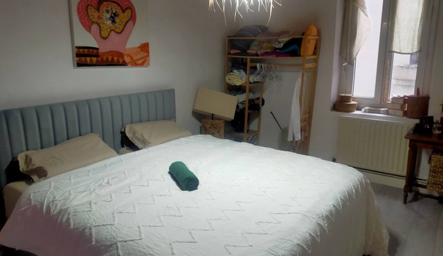 Bed and breakfast, 2 steps from Perrache train station! (From 1 to 5 people)