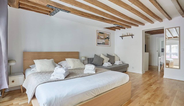 Charming Apartment Center of Paris