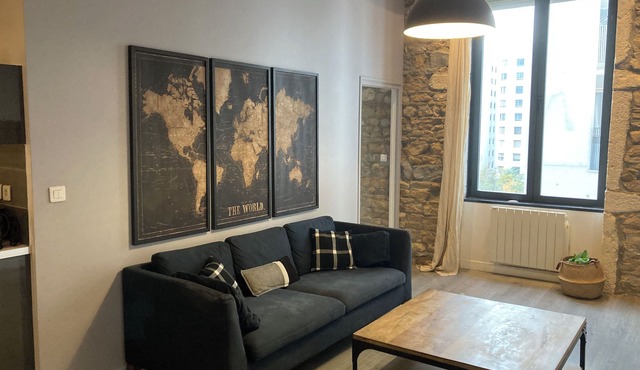 Confluence renovated 2-room apartment