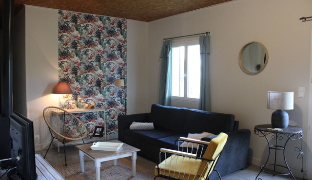 Cottage between Loire, vineyard and castles