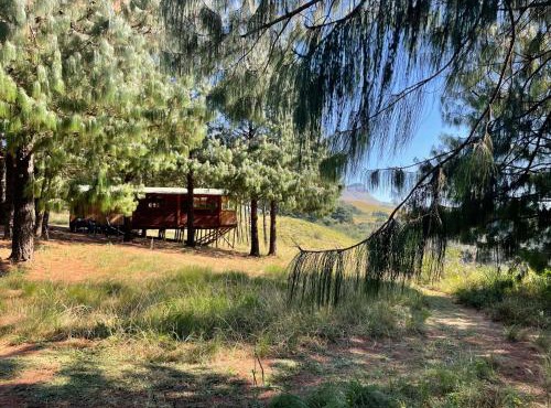 Dargle Forest Lodge