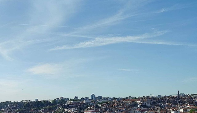 Golden Oak Porto - Cosy flat with breathtaking views, 10min to Porto City Centre