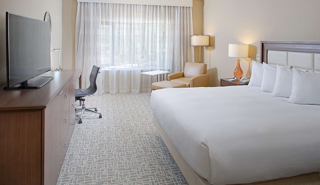 Hilton Boston/Dedham