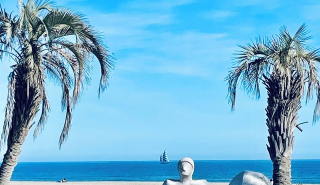 House 4 bedrooms 200 beach Canet