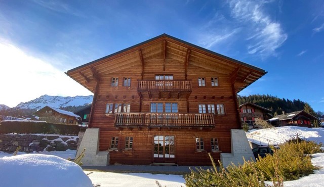 Le Mélézin Bleu, Morgins