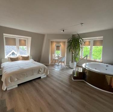 Luxury Private Spa with golden bath, cinema and sauna