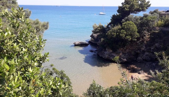 Mare