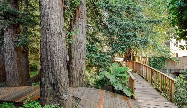 Mill Valley Inn