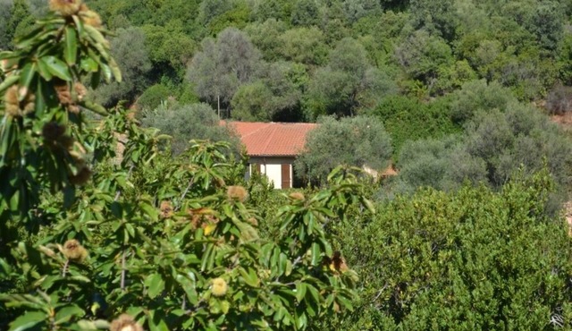 Nestled in greenery