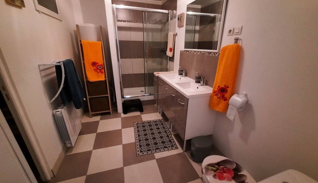 Quiet, spacious country house 1 hour from Disney land. 1 h00 from Paris.