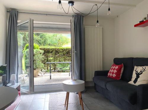 Ravissant studio avec terrasse à Torgon