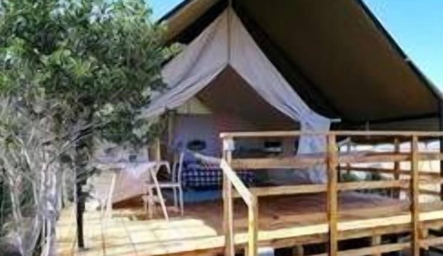 SAFARI LODGE TENT .