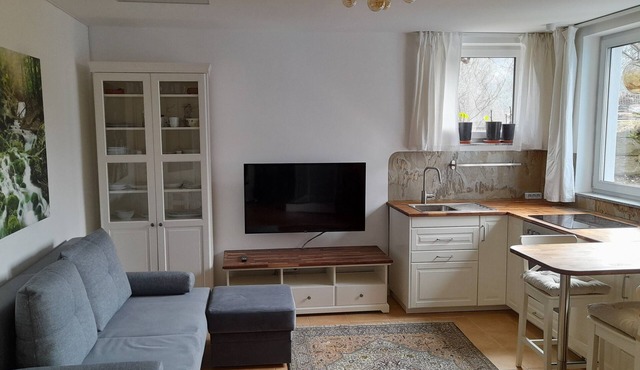 Specially equipped mini-apartment