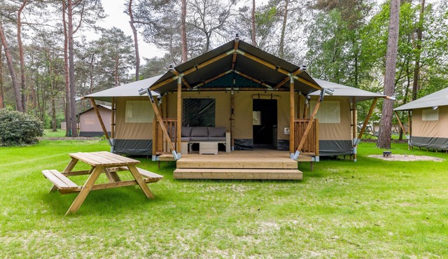 Super accommodation for holidays with children
