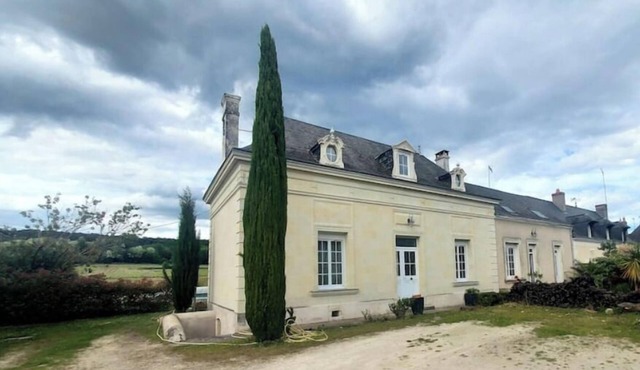 The vineyard setting