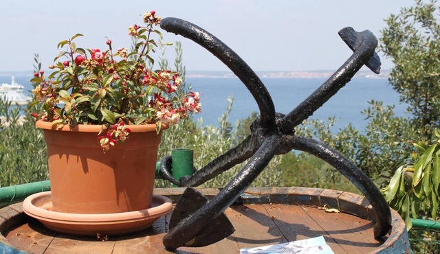 Two bedroom apartment with terrace and sea view Kali, Ugljan (A-834-a)