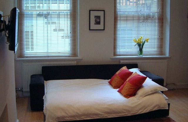 Spacious, eco-friendly studio apartment in a great location in Earl's Court.