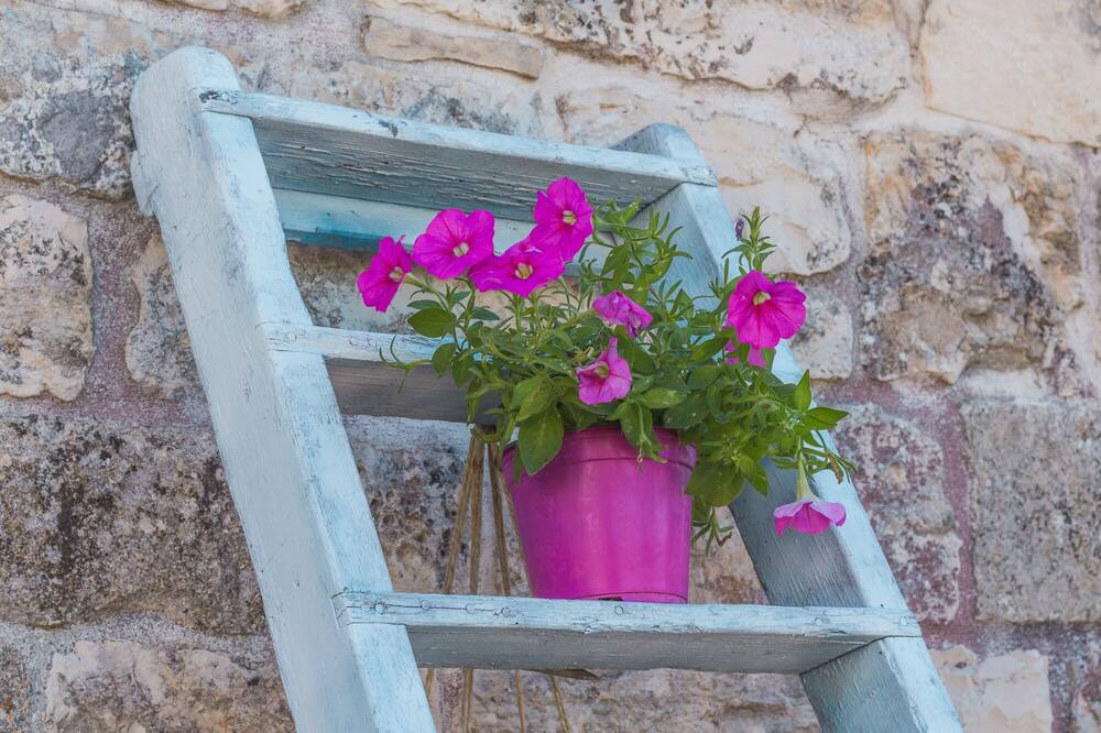 Photo of Others in Martina Franca