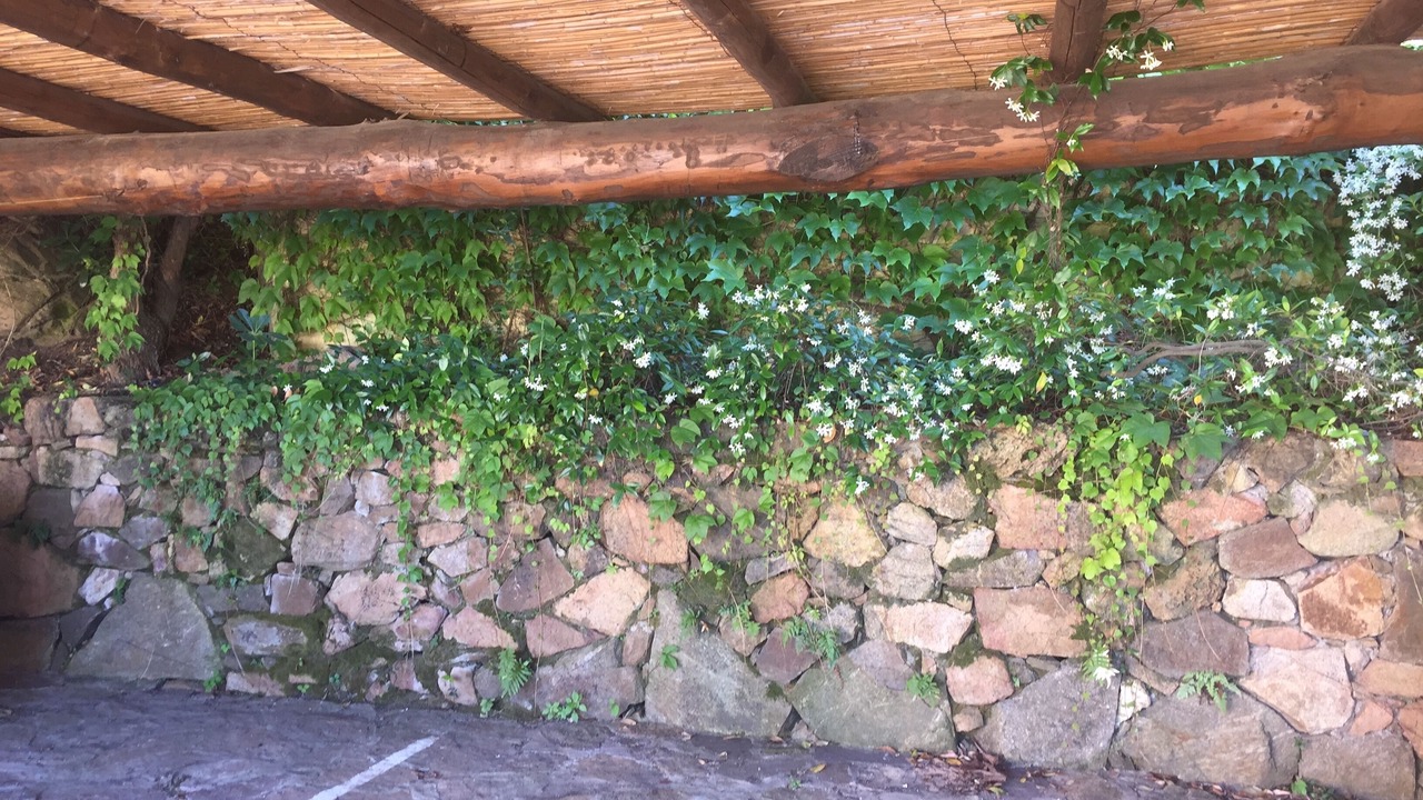 Photo of Outdoor in Porto Cervo