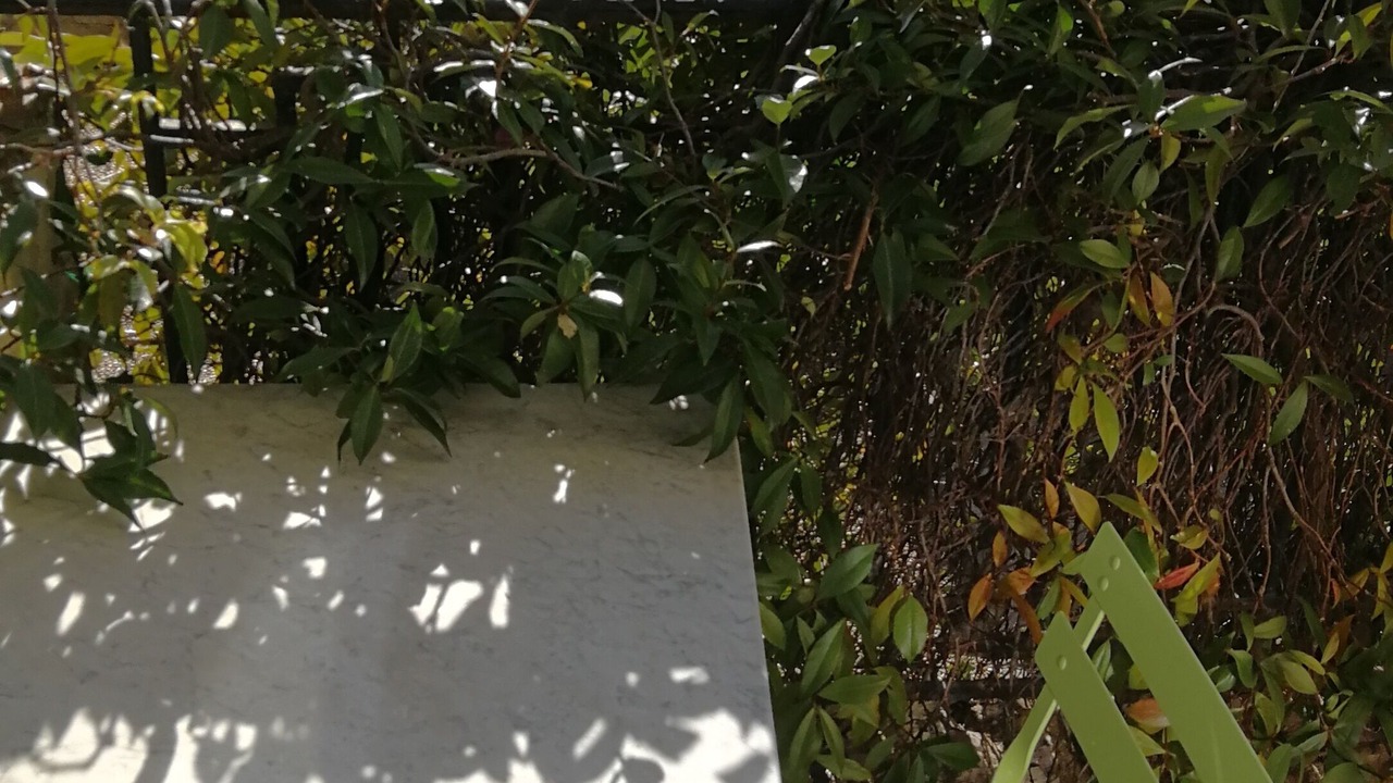 Photo of Outdoor in Grasse