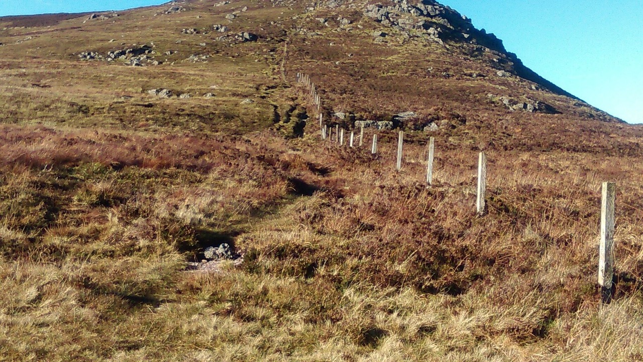 Photo of Others in Rathgormuck
