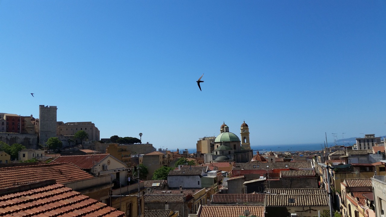 Photo of Others in Cagliari