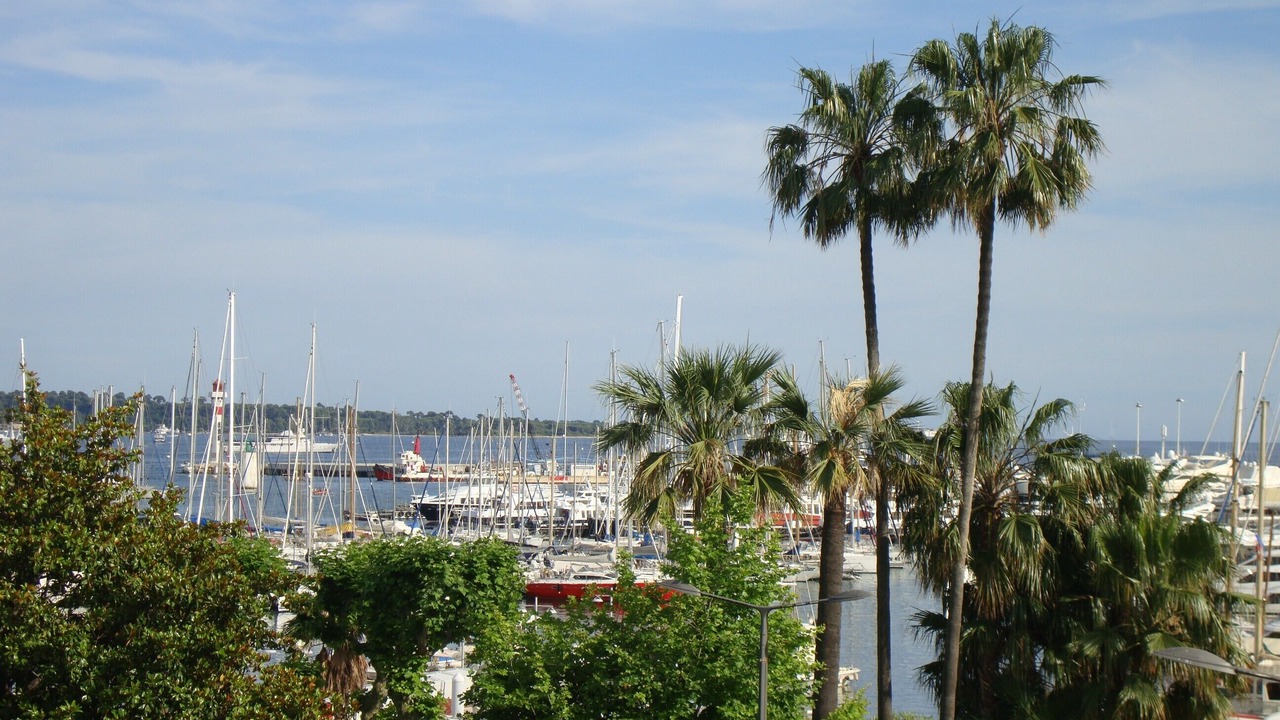 Photo of Others in Le Suquet