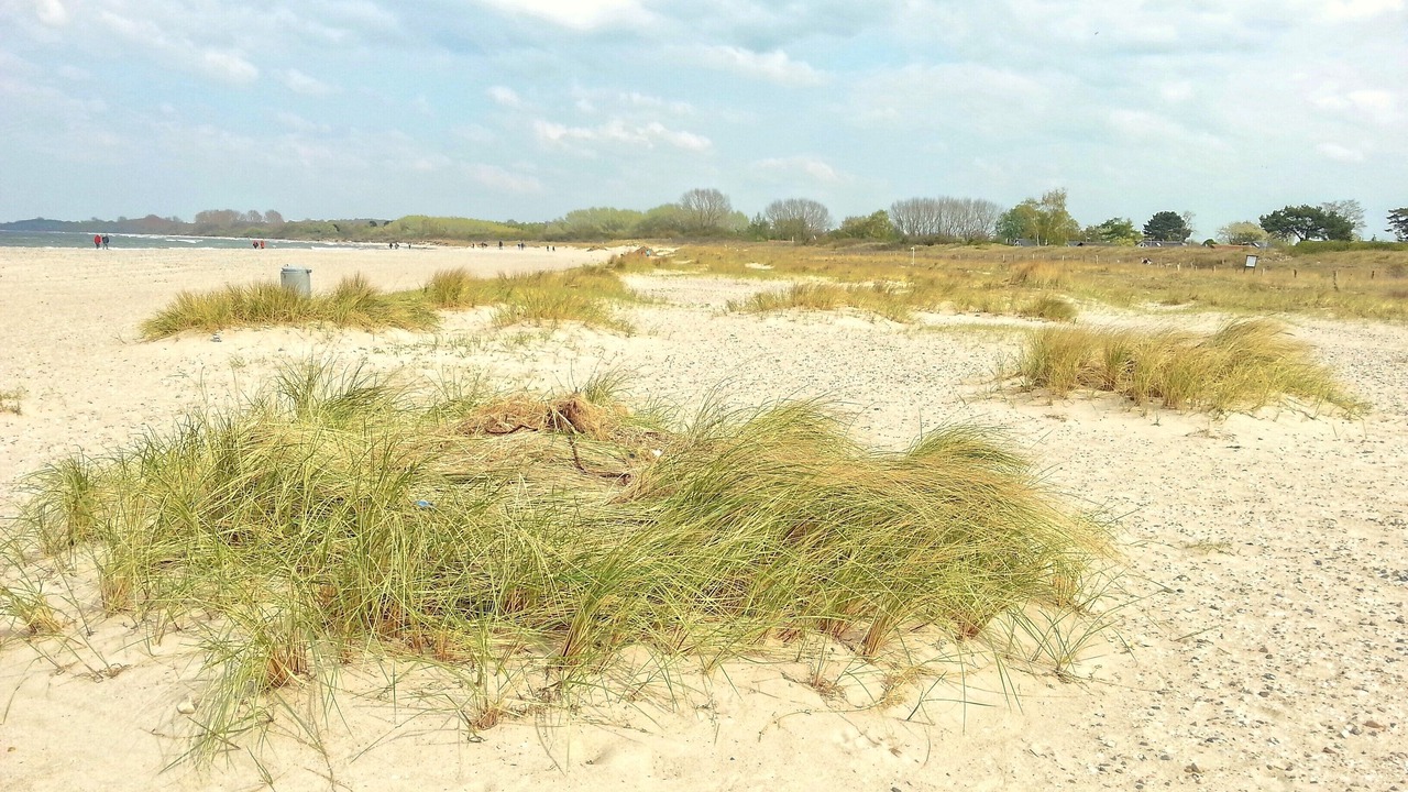 Photo of Others in Travemuende