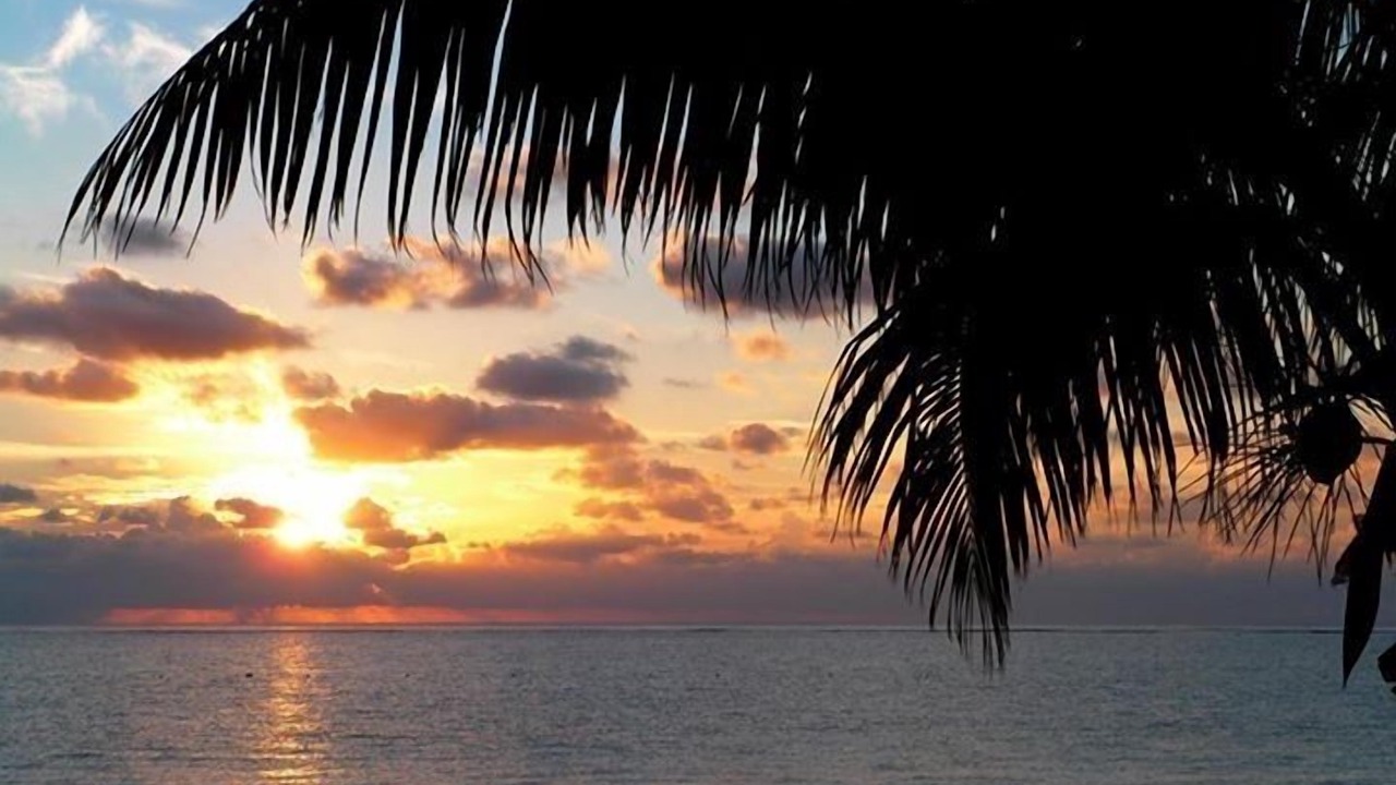 Photo of Others in Puerto Morelos