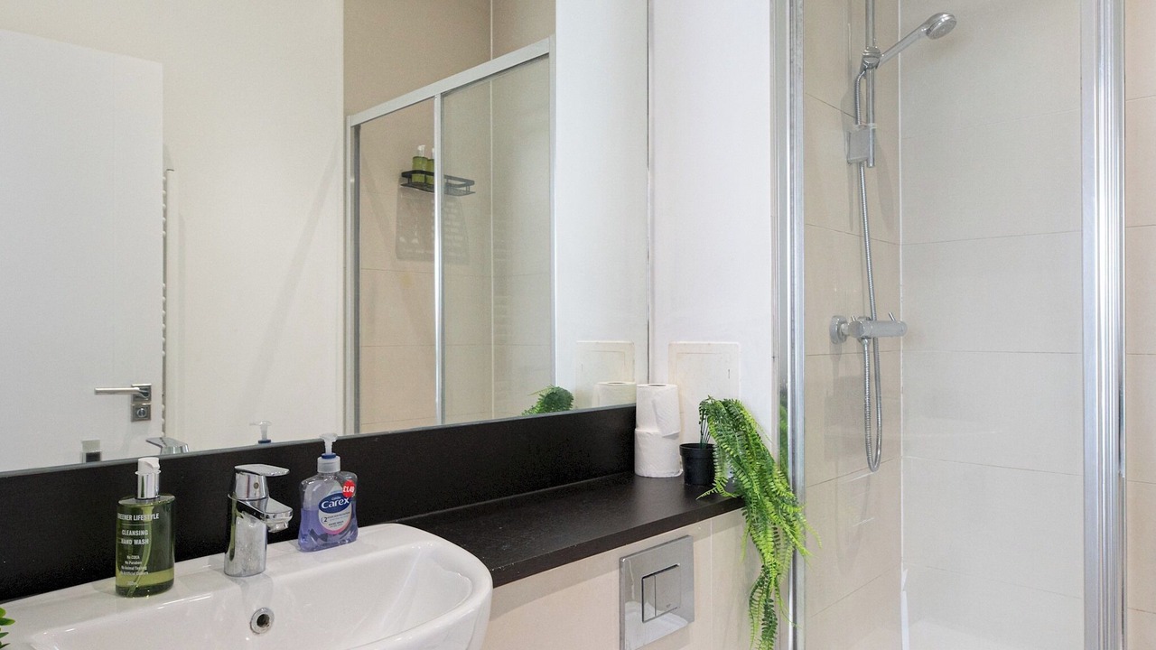 Photo of Bathroom in Royal Docks