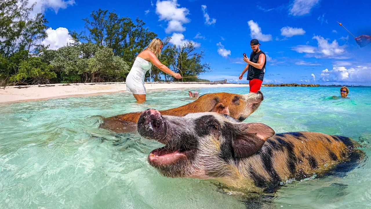 Photo of Others in Nassau