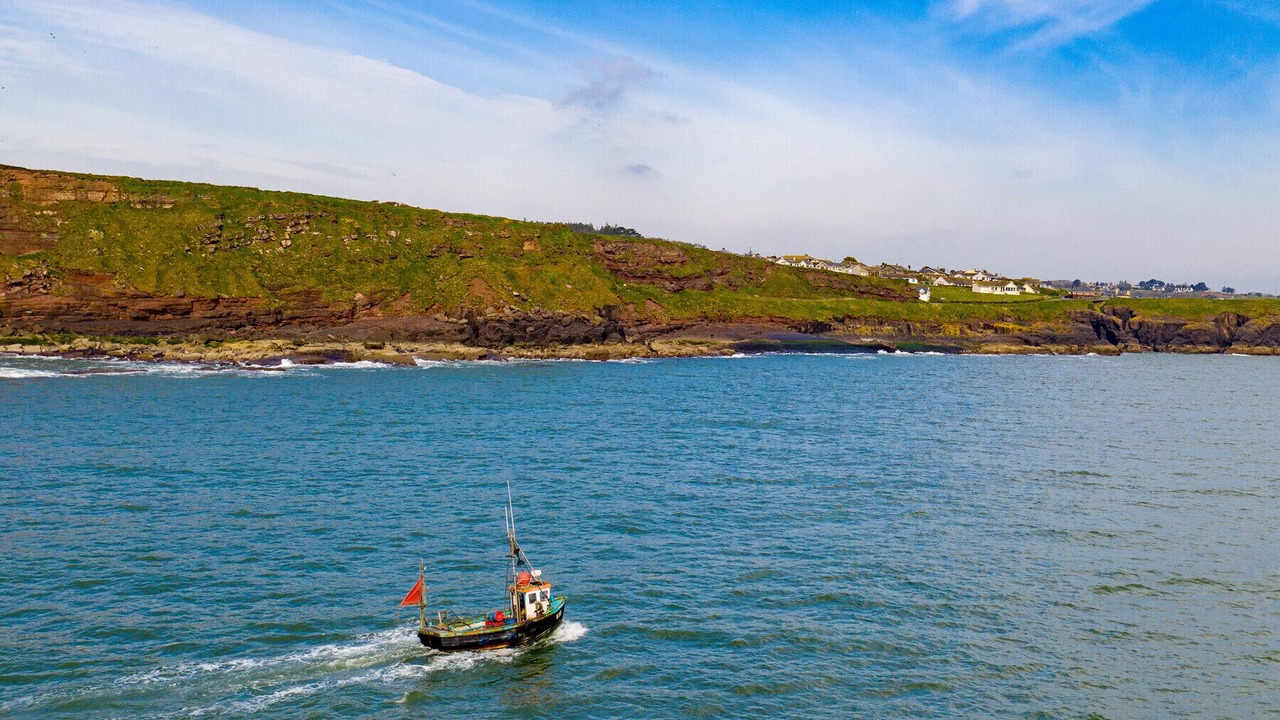 Photo of Others in Dunmore East