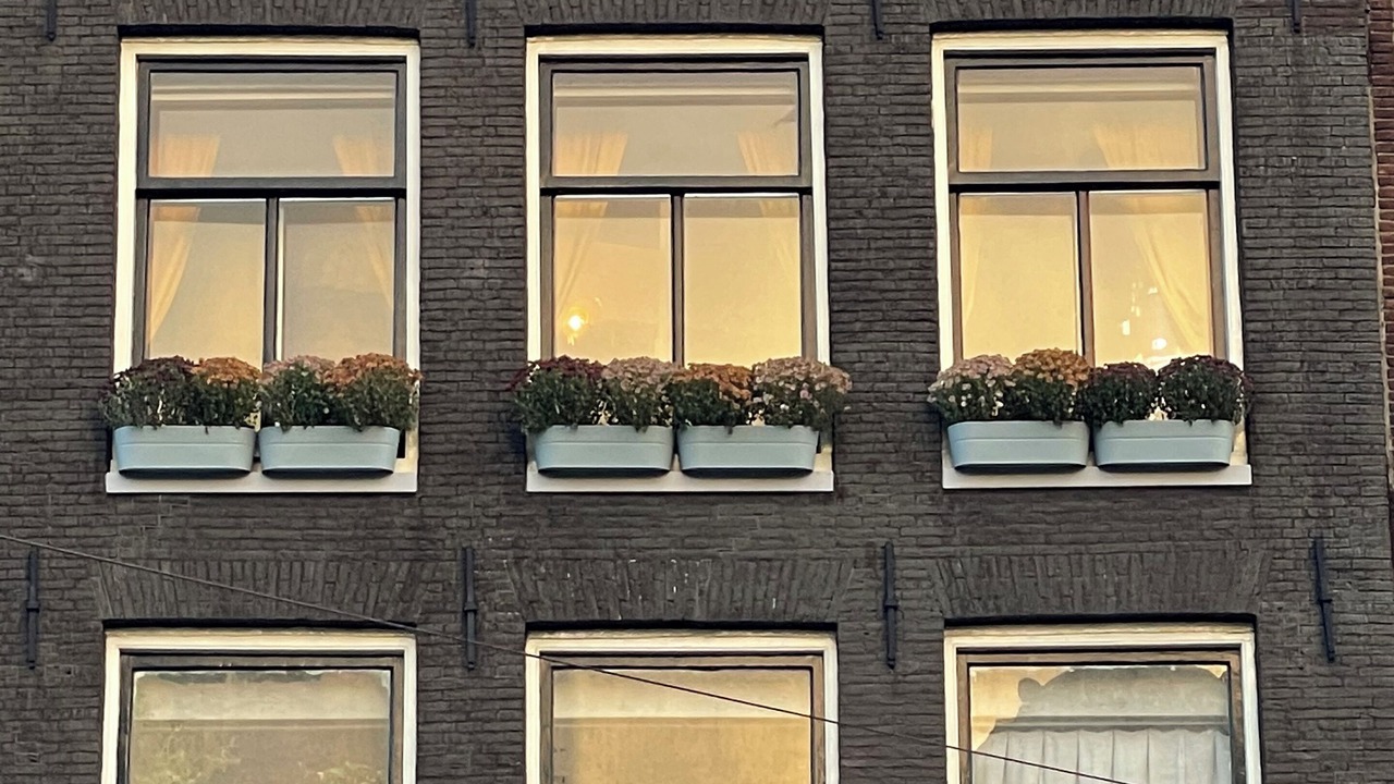 Photo of Outdoor in Burgwallen Nieuwe Zijde