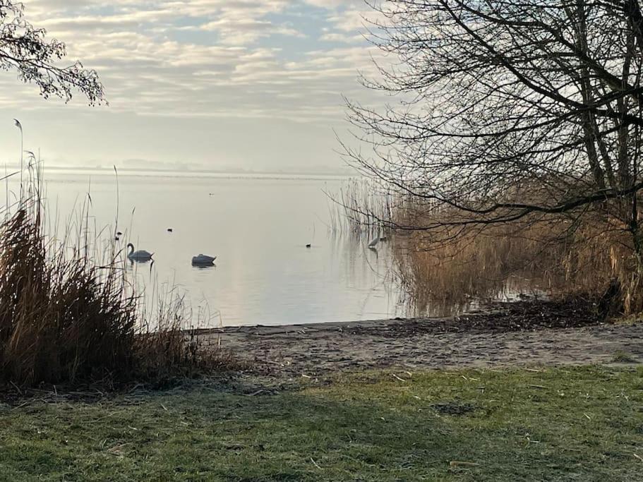 Photo of Others in Biddinghuizen