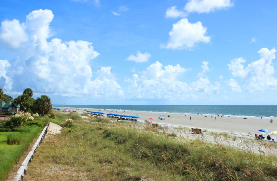 Photo of Others in Palmetto Dunes