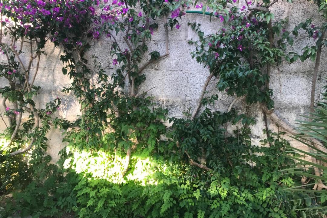 Photo of Others in Santa Maria di Leuca