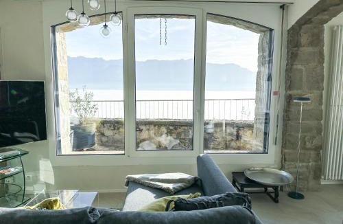 Puidoux House | Panoramic Room in the vineyard,stunning views of lake and Alps